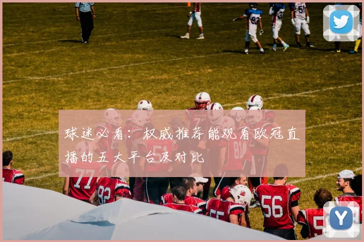 球迷必看：权威推荐能观看欧冠直播的五大平台及对比