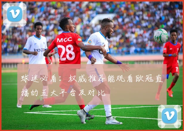 球迷必看：权威推荐能观看欧冠直播的五大平台及对比