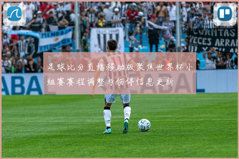 足球比分直播移动版聚焦世界杯小组赛赛程调整与伤停信息更新